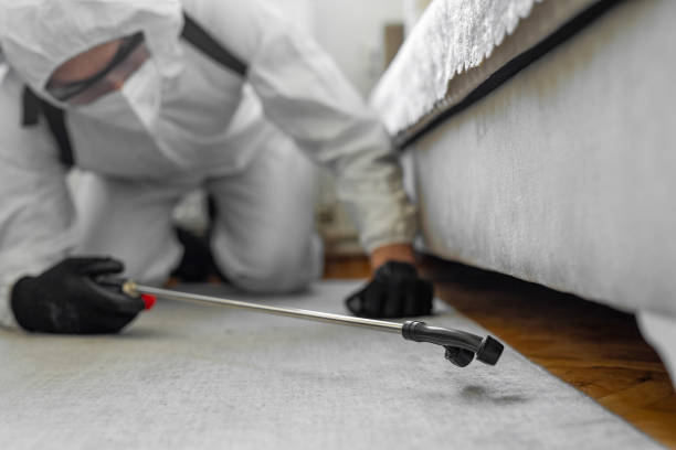 Professional Bed Bug Control technician working in Howard Lake, MN